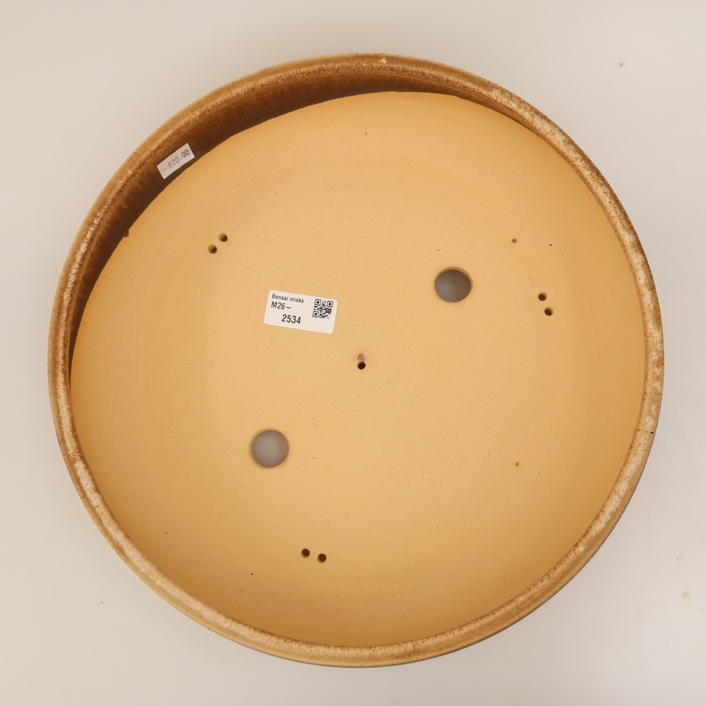 Vaso da bonsai in ceramica 31 x 31 x 8 cm, colore beige