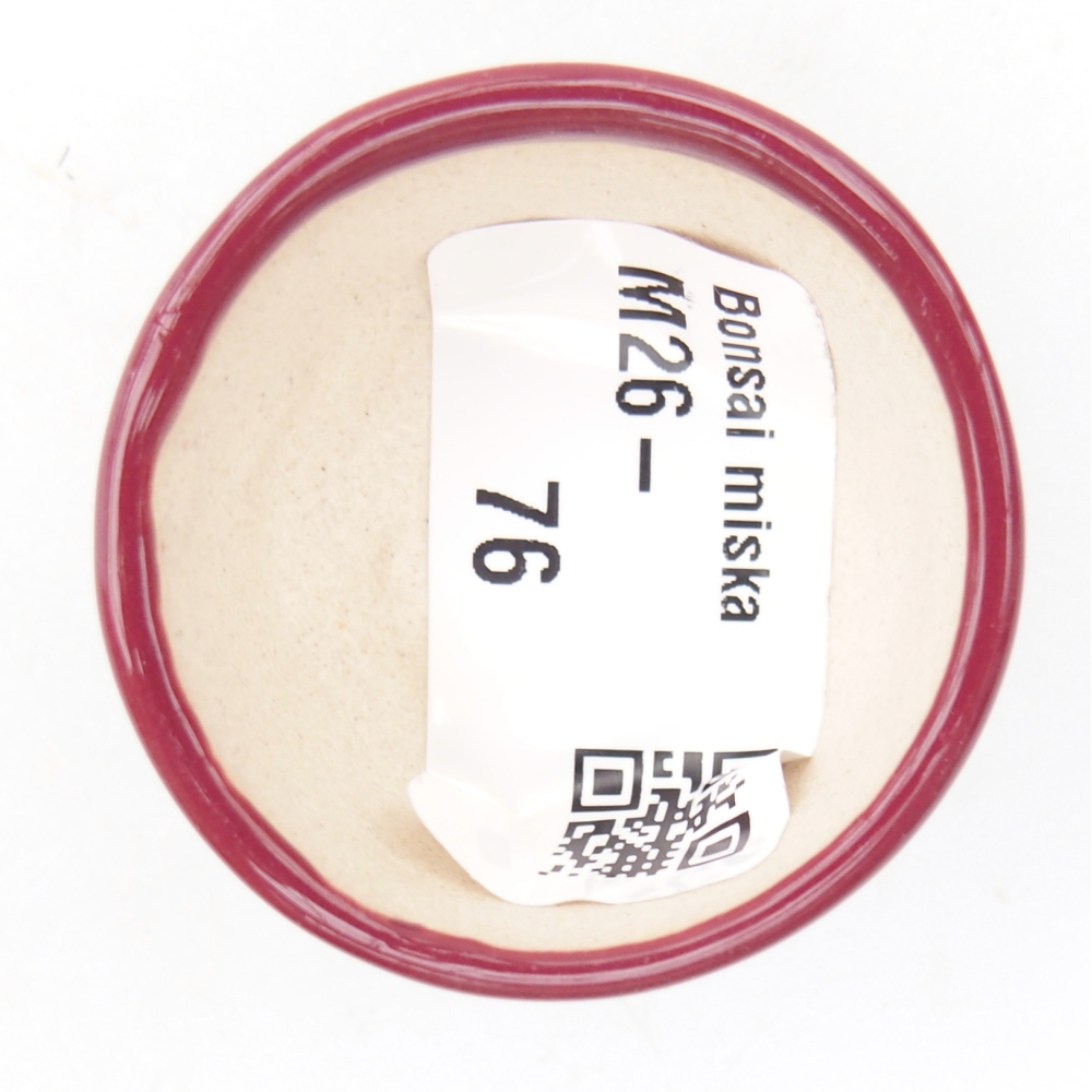 Ciotola per mini bonsai 4 x 4 x 2 cm, bordeaux