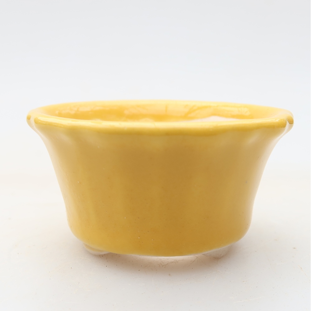 Ciotola bonsai in ceramica 5,5 x 5,5 x 3 cm, giallo