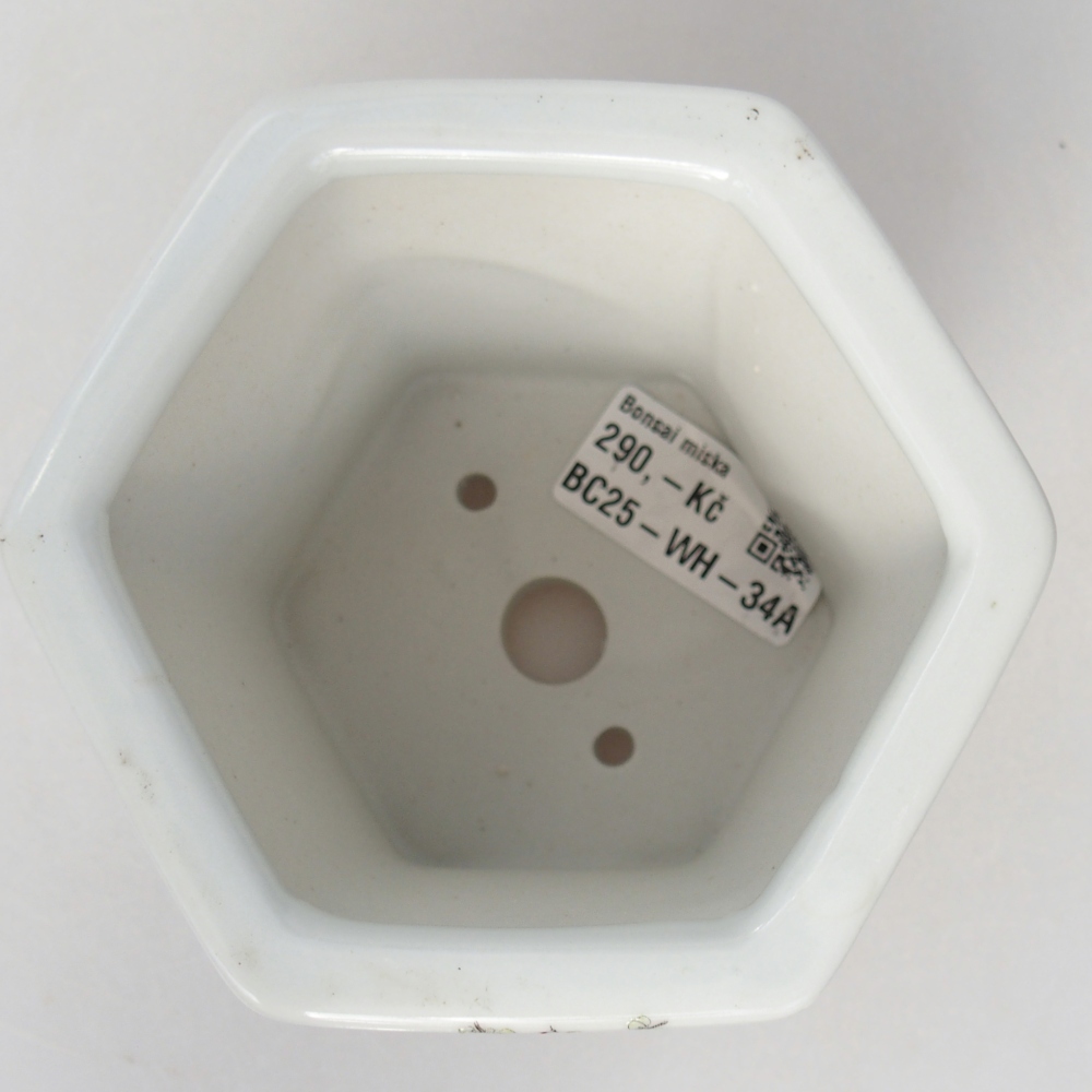 Ciotola per bonsai in ceramica 10,5 x 9,5 x 9 cm, colore bianco