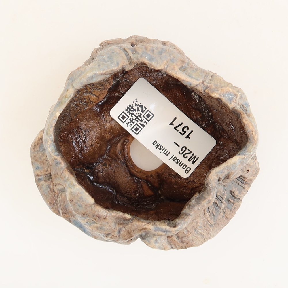 Guscio in ceramica  5 x 5 x 5,5 cm, colore blu
