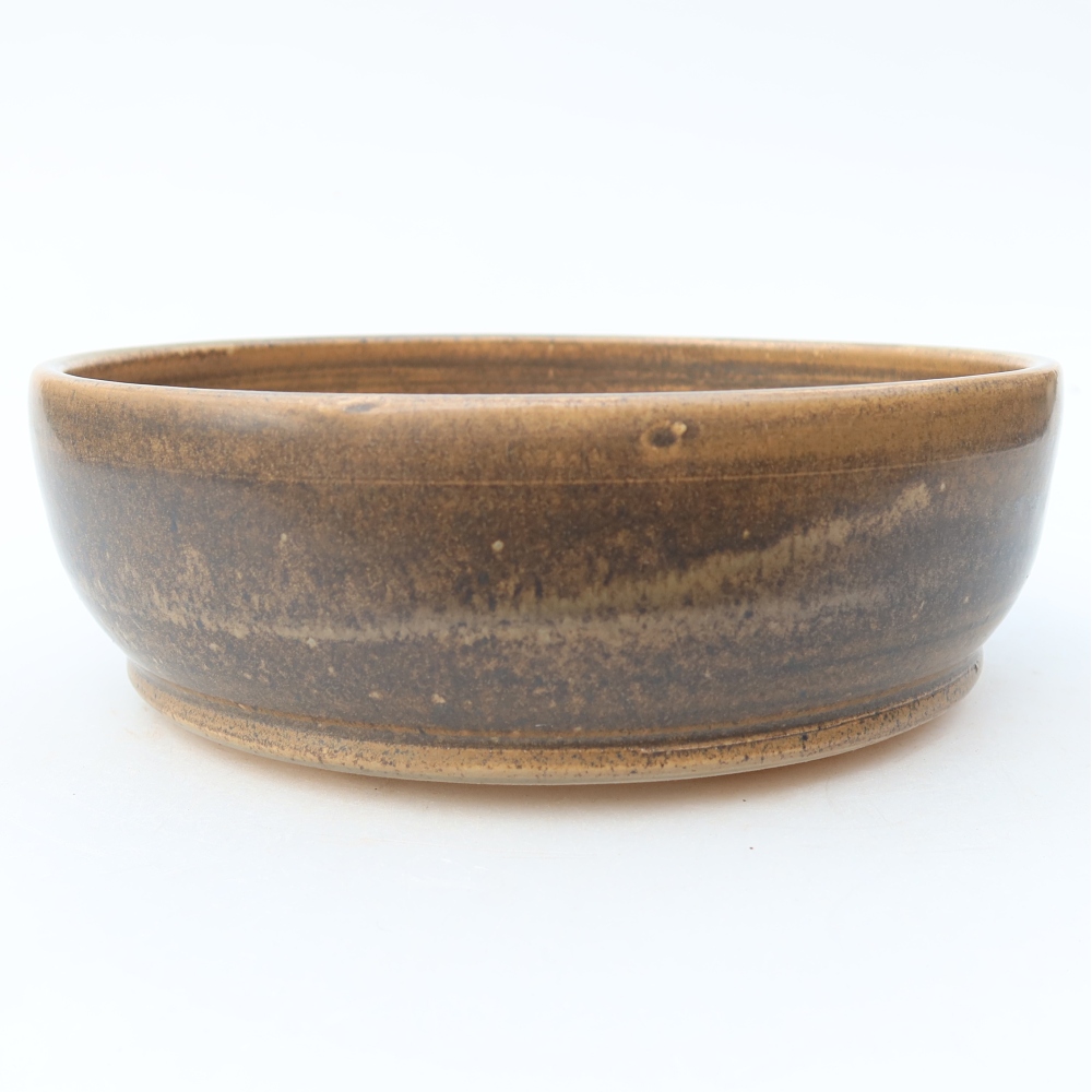 Ciotola per bonsai in ceramica 18 x 18 x 6 cm, marrone