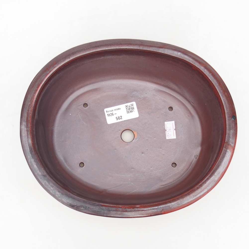Ciotola bonsai in ceramica 23 x 19 x 7 cm, colore rosso