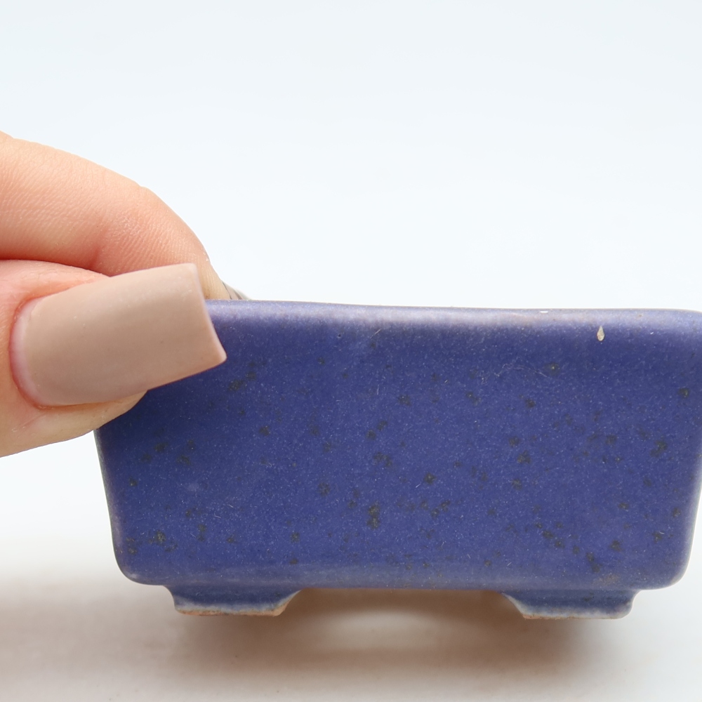 Vaschetta in ceramica per bonsai 7 x 7 x 3,5 cm, colore viola