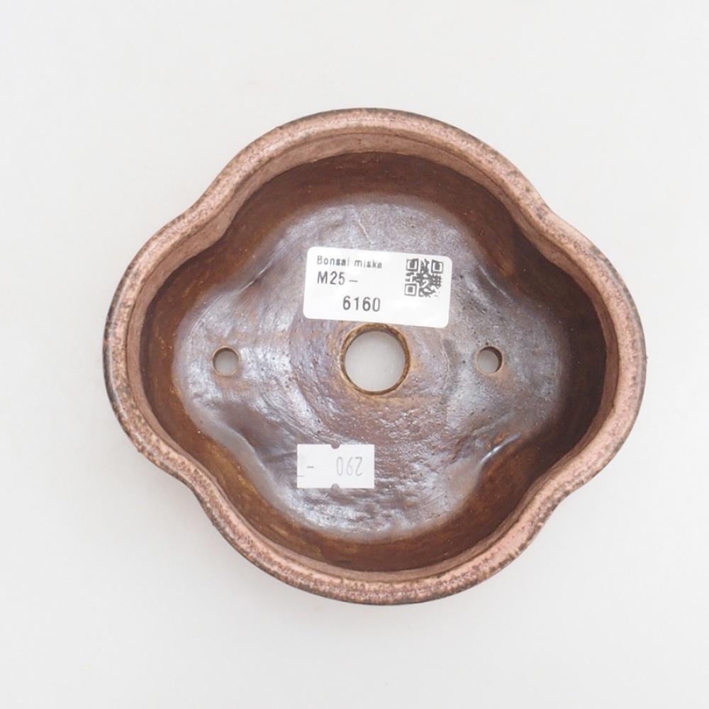 Ciotola per bonsai in ceramica 10 x 8,5 x 4 cm, marrone