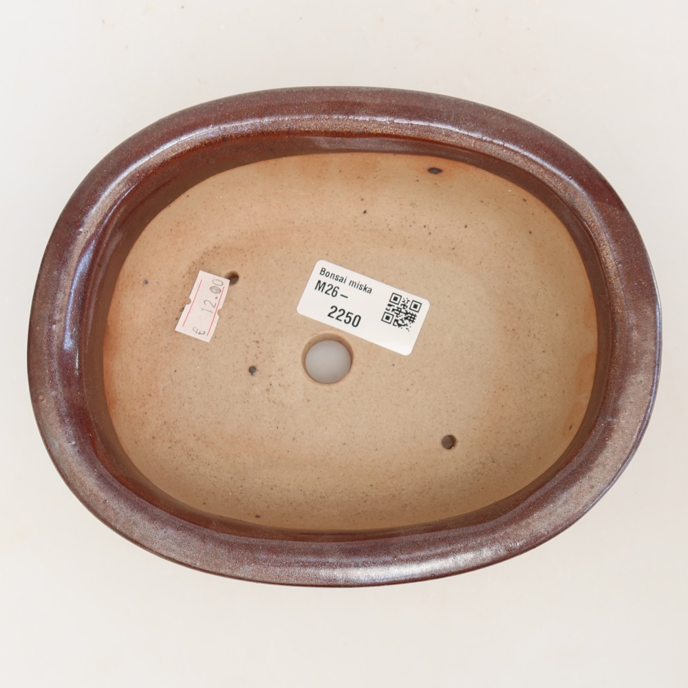 Vaso da bonsai in ceramica 18 x 14,5 x 5,5 cm, colore bordeaux