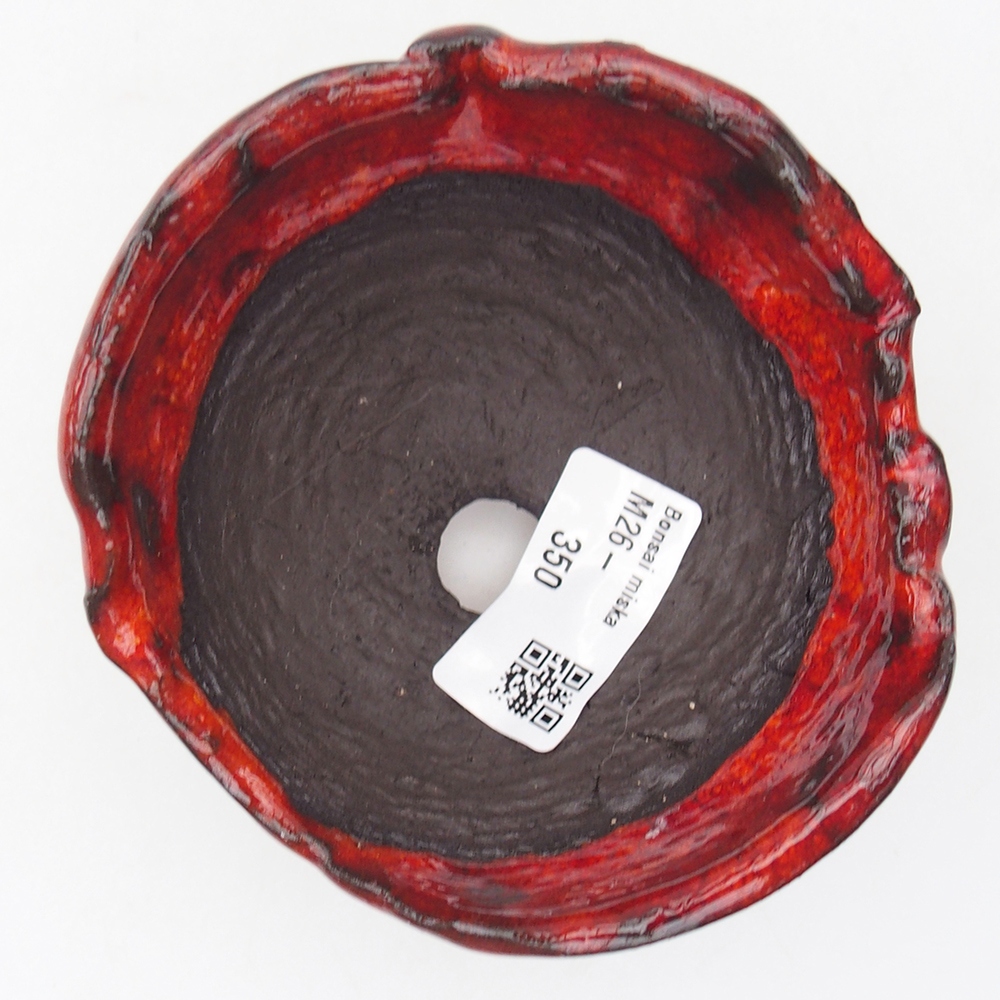 Conchiglia in ceramica 10 x 9,5 x 7 cm , colore rosso