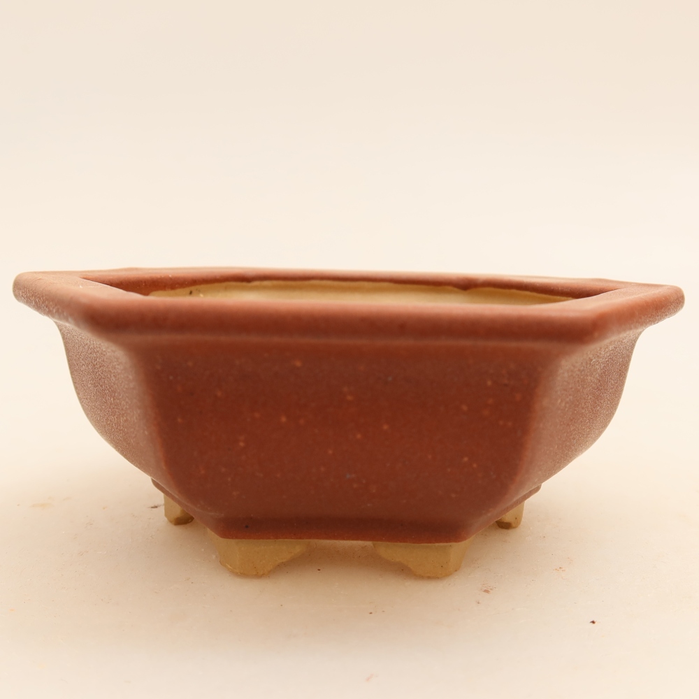 Vaso da bonsai in ceramica 12 x 10,5 x 4 cm, colore bordeaux