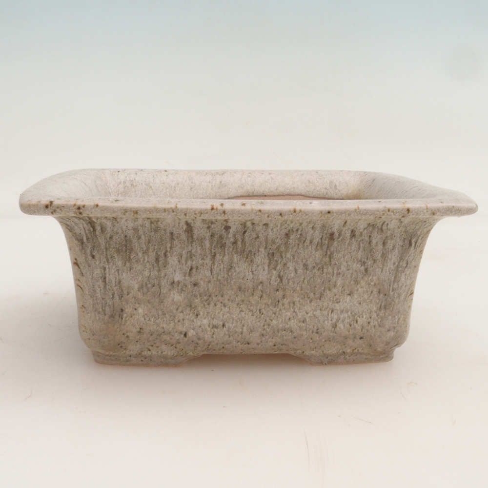 Ciotola bonsai + piattino H11 - 11,5 x 10 x 4 cm - beige