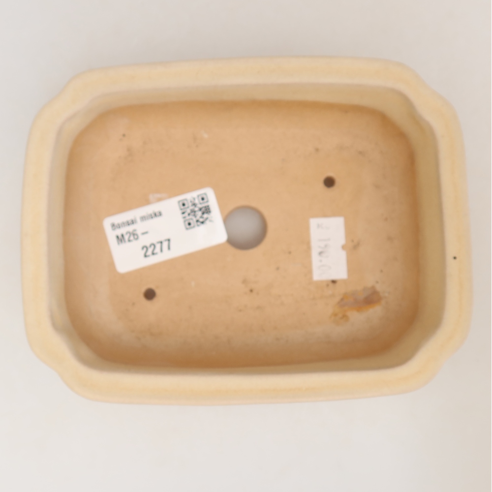 Ciotola bonsai in ceramica 14 x 11 x 4 cm, colore beige