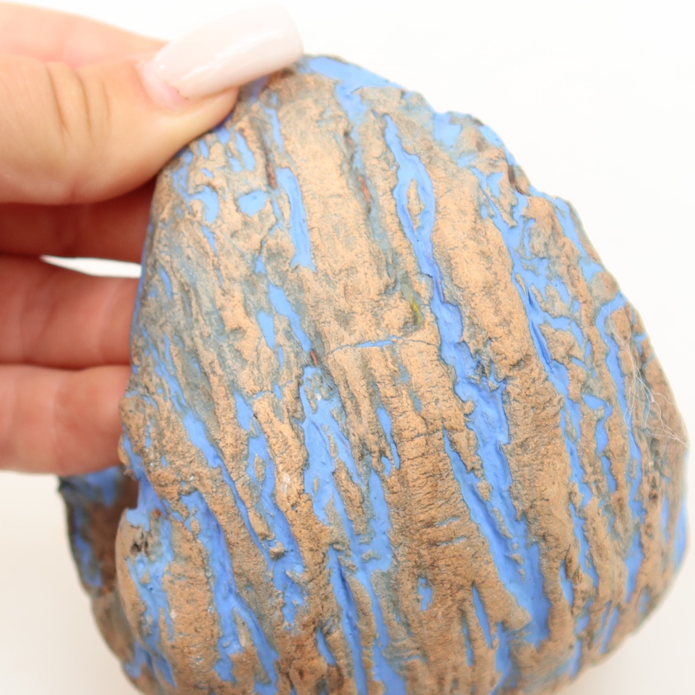 Guscio in ceramica  11 x 10 x 11,5 cm, colore blu