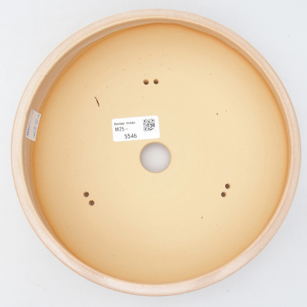 Ciotola bonsai in ceramica 22 x 22 x 6 cm, rosa