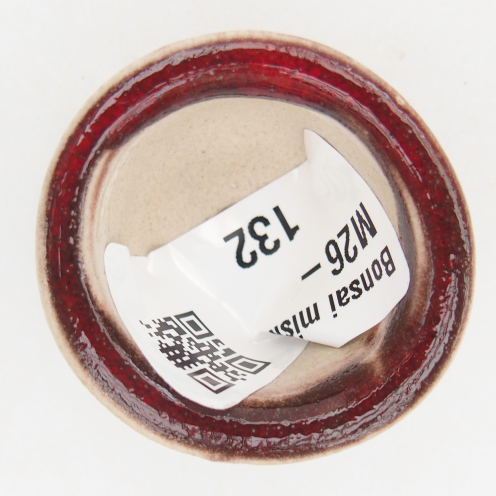 Mini bonsai 3,5 x 3,5 x 2,5 cm, colore rosso