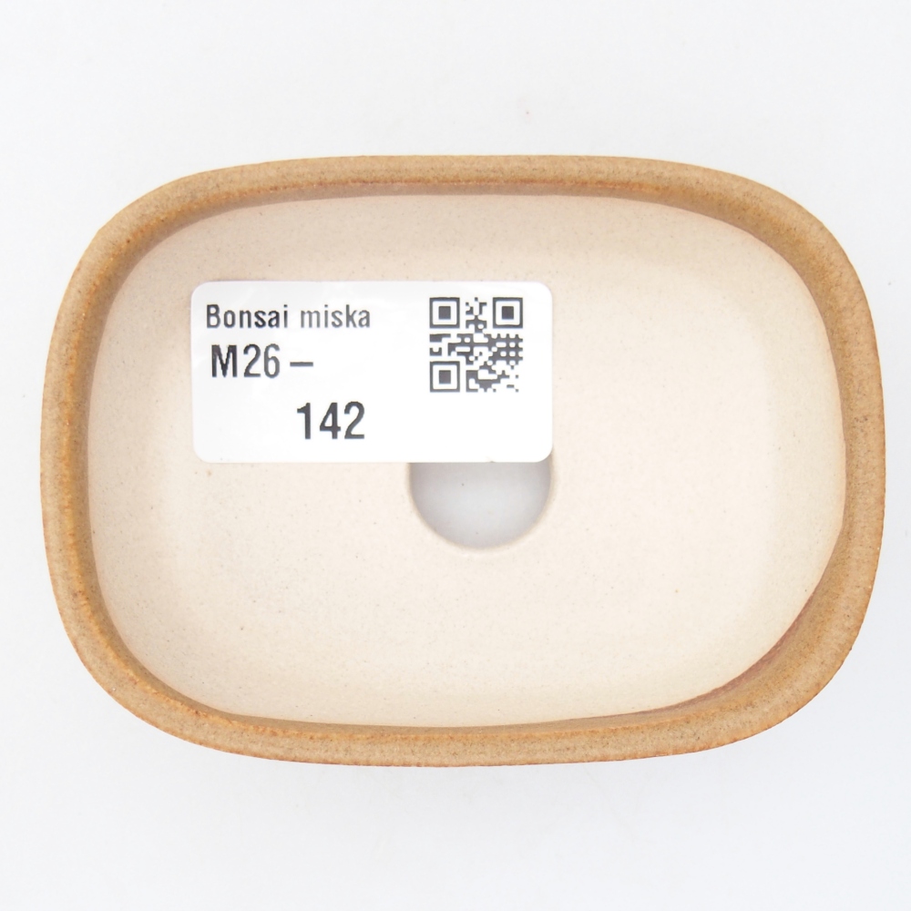 Mini bonsai 8,5 x 6 x 2,5 cm, marrone