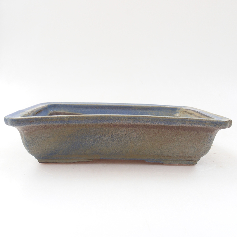 Ciotola bonsai in ceramica 17,5 x 13 x 4 cm, colore blu