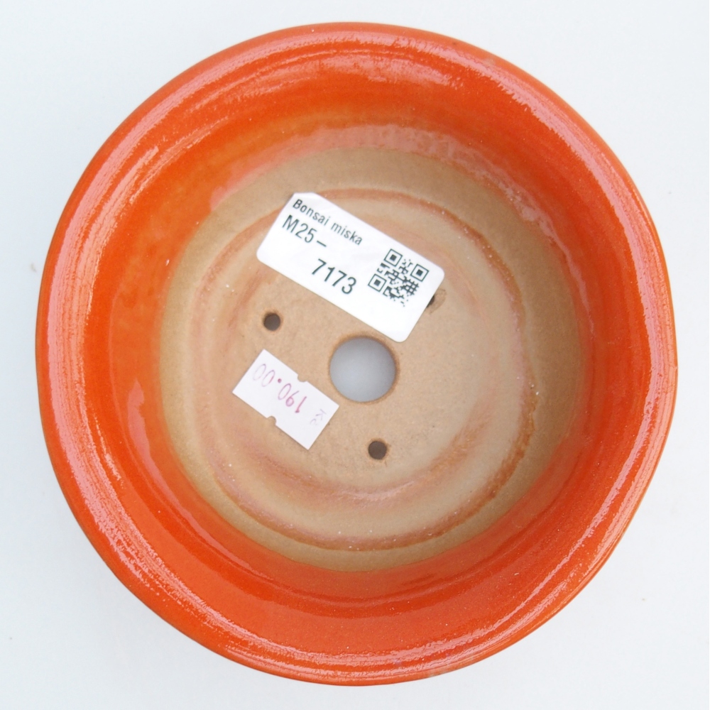 Ciotola bonsai in ceramica 26 x 26 x 8 cm, colore rosso