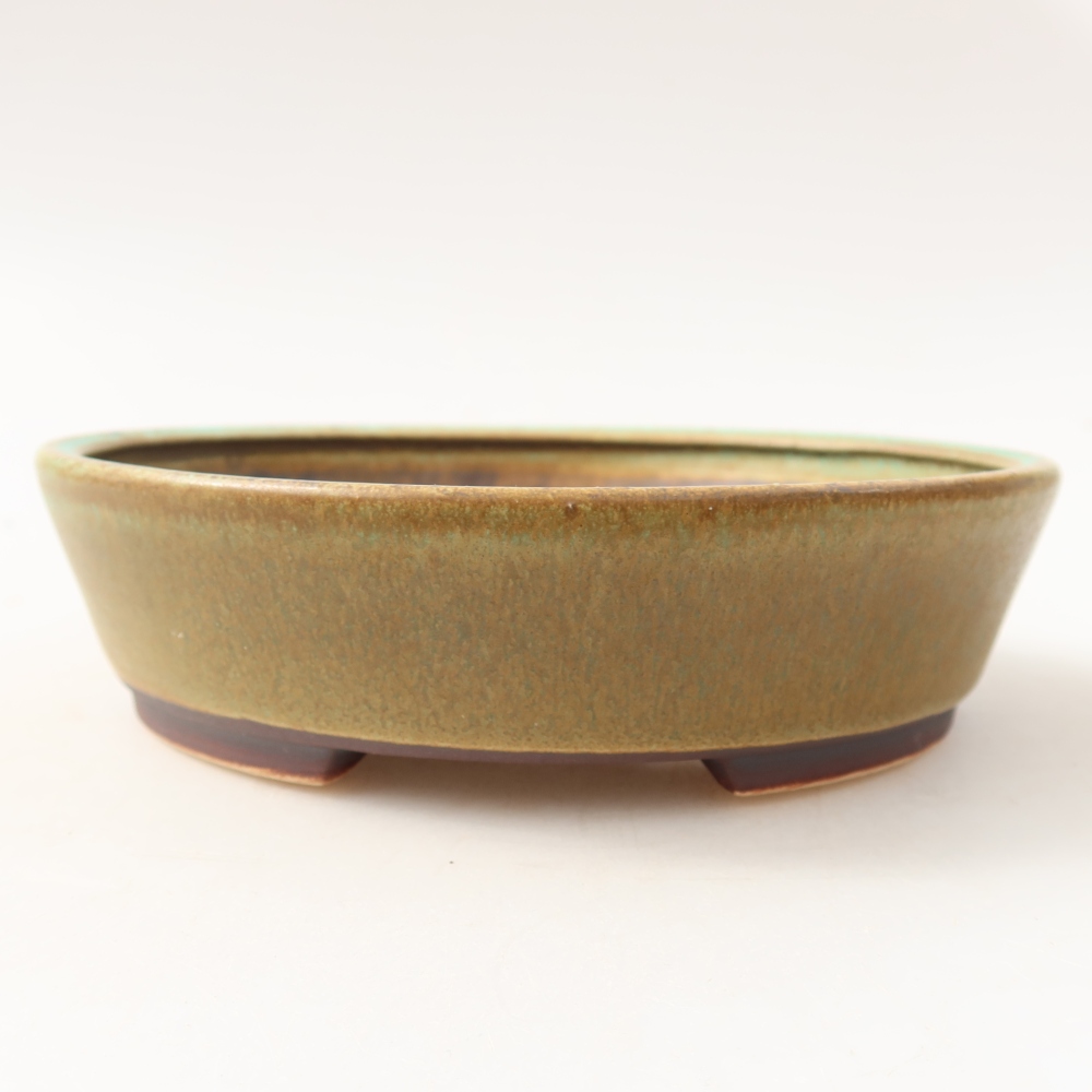 Ciotola per bonsai in ceramica 15 x 14 x 4 cm, verde