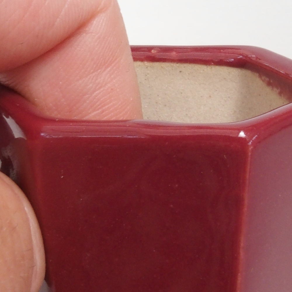 Ciotola per mini bonsai 4,5 x 4 x 6 cm, bordeaux