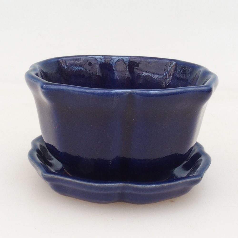 Ciotola bonsai + piattino H95 - blu