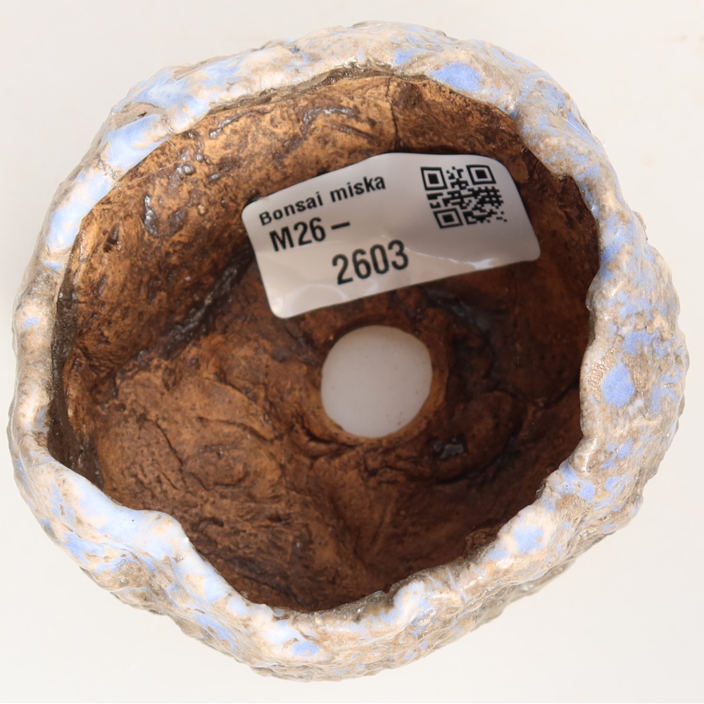 Guscio in ceramica  7,5 x 7 x 6 cm, colore blu-marrone