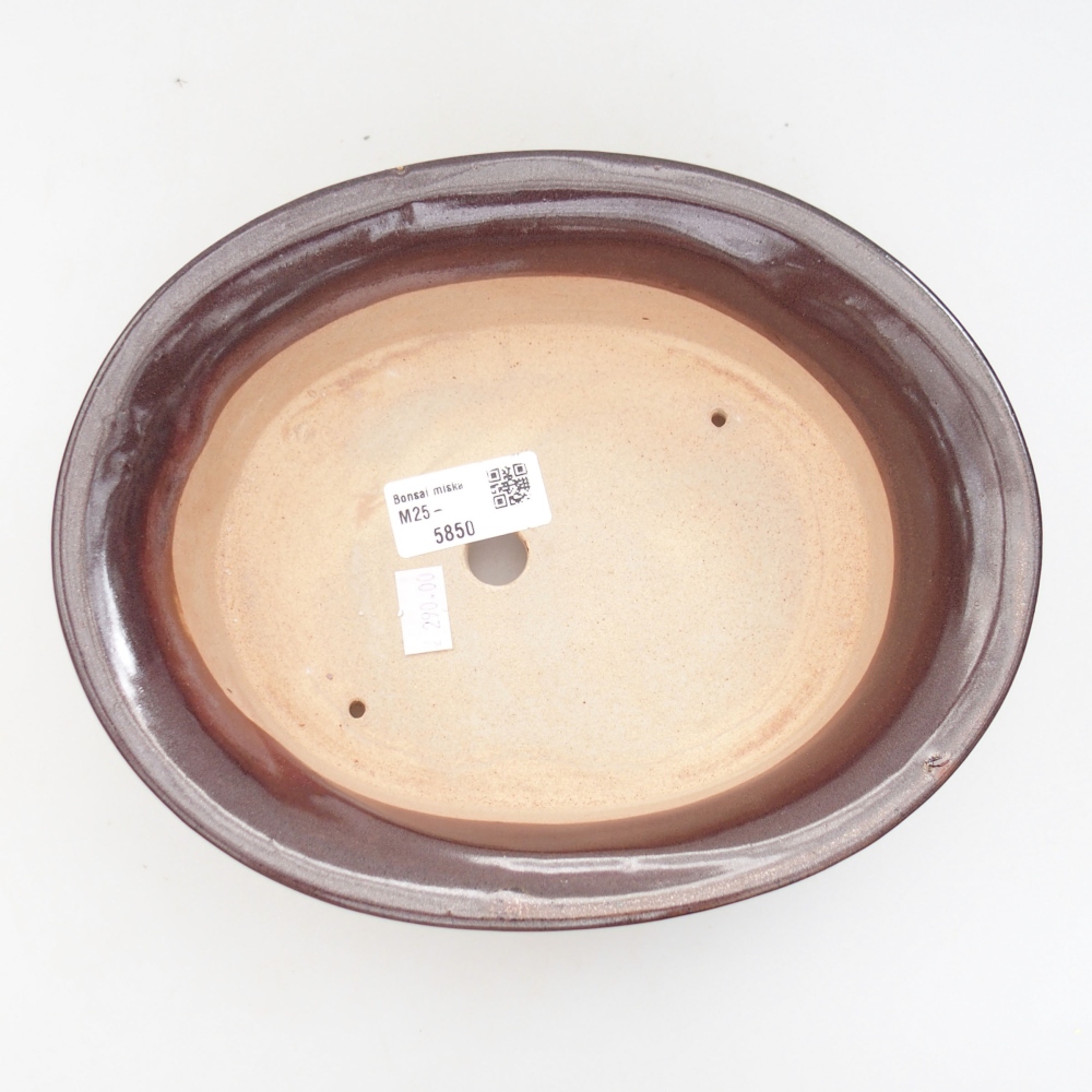 Ciotola bonsai in ceramica 22 x 17 x 5 cm, verde