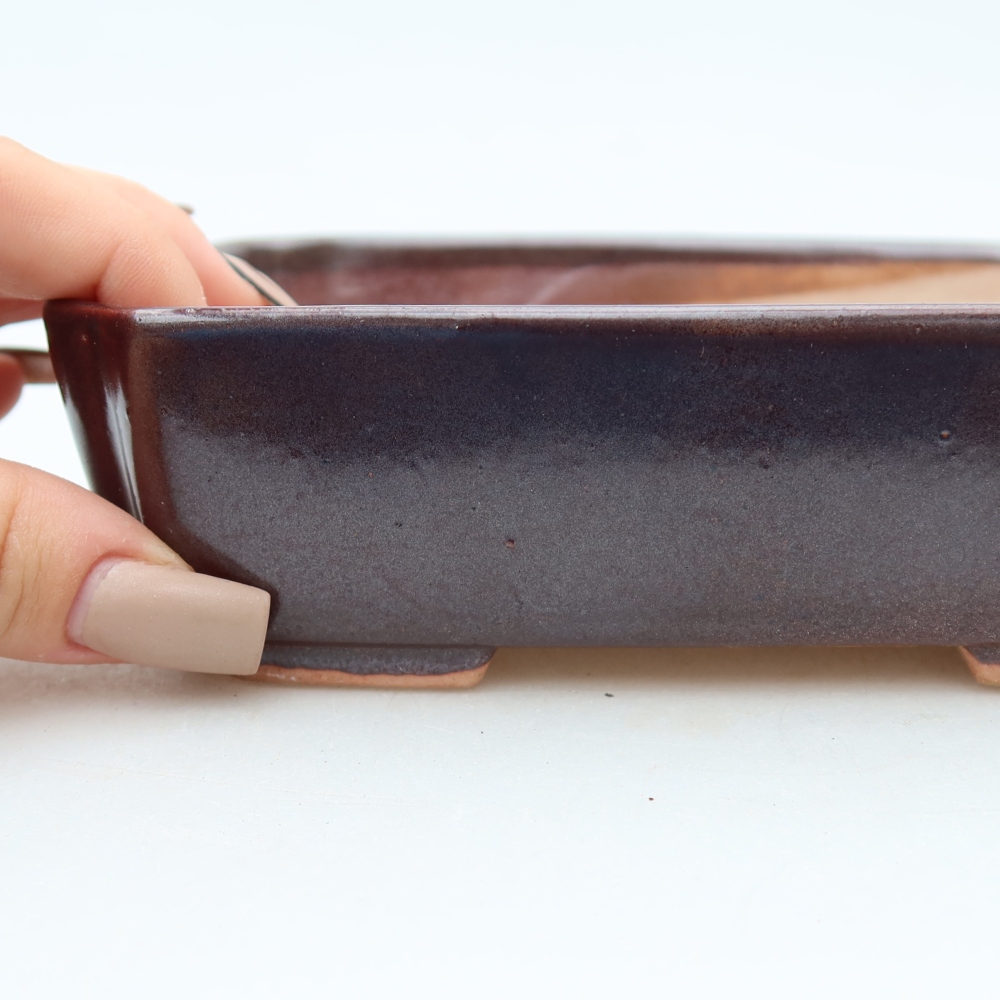 Ciotola per bonsai in ceramica 15 x 12,5 x 4,5 cm, marrone