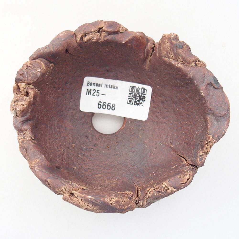 Conchiglia in ceramica 10 x 9 x 5,5 cm , colore marrone