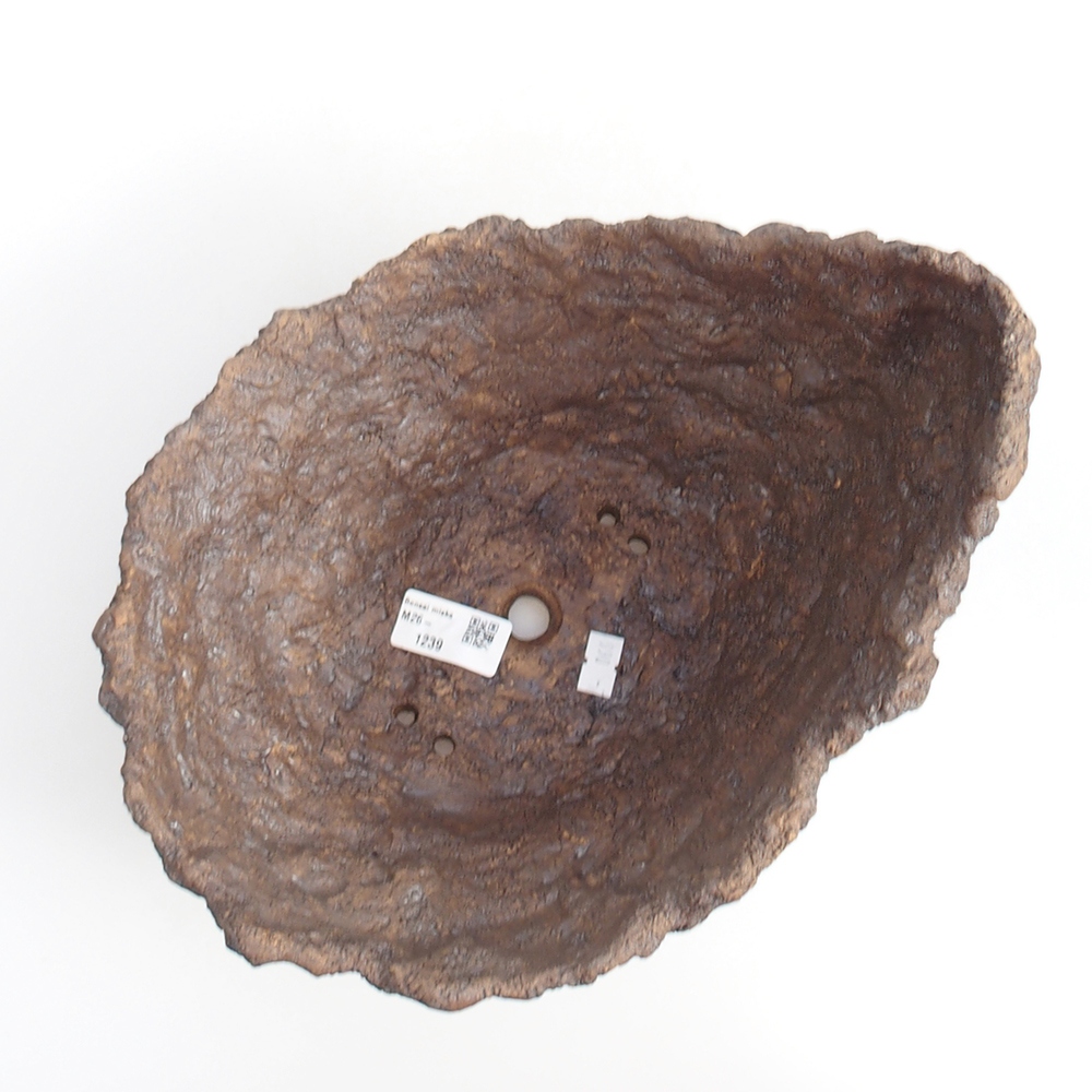Conchiglia in ceramica 24 x 22 x 22 cm , colore marrone