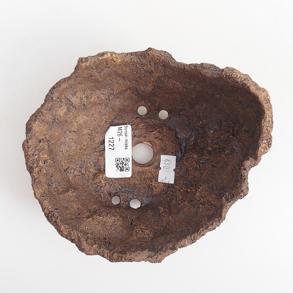 Conchiglia in ceramica 14 x 13 x 12 cm , colore marrone