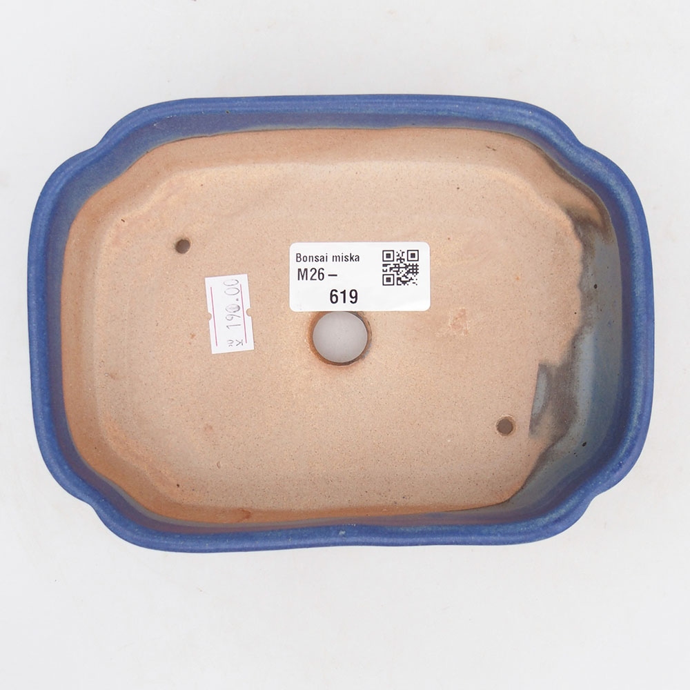 Ciotola bonsai in ceramica 16 x 11,5 x 4,5 cm, colore blu
