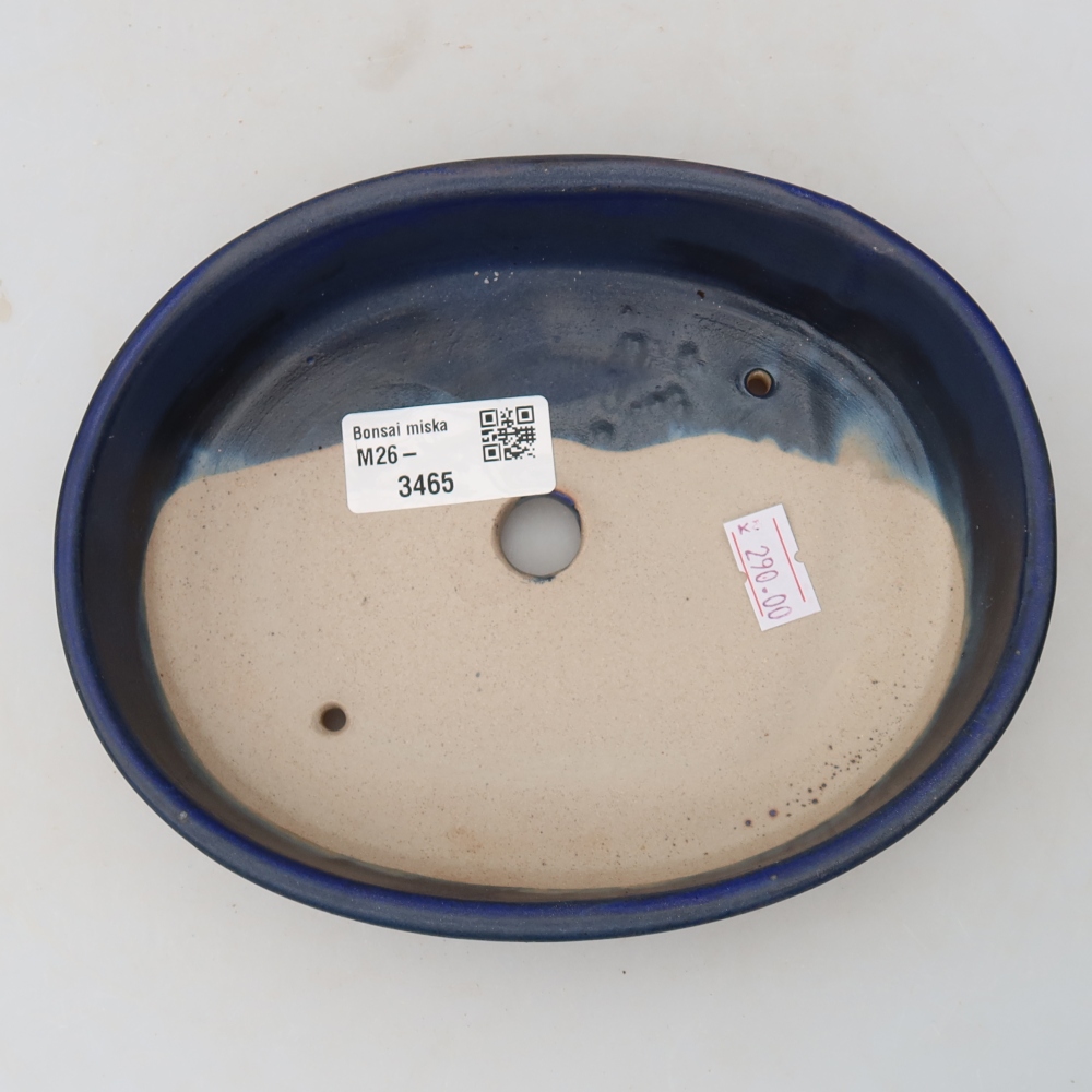 Vaso da bonsai in ceramica 17 x 14 x 4 cm, colore blu