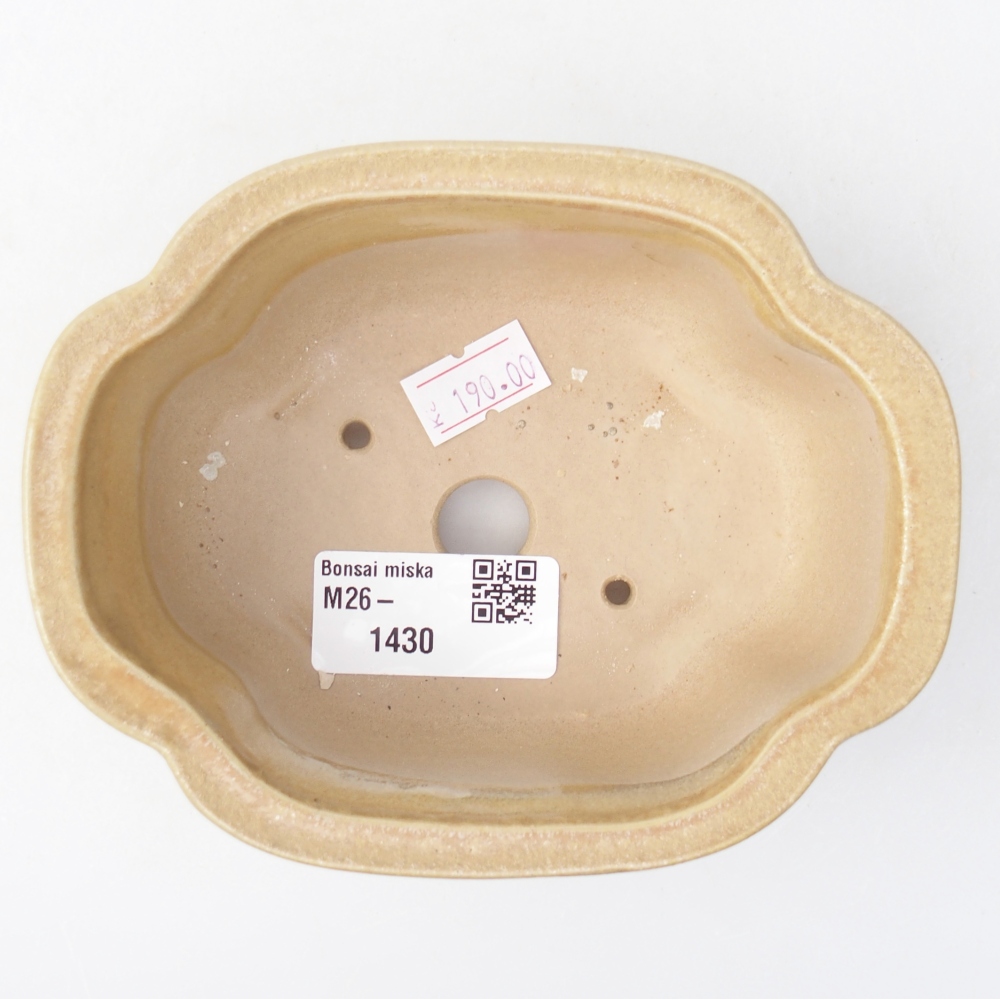 Ciotola bonsai in ceramica 13 x 10 x 5 cm, colore beige
