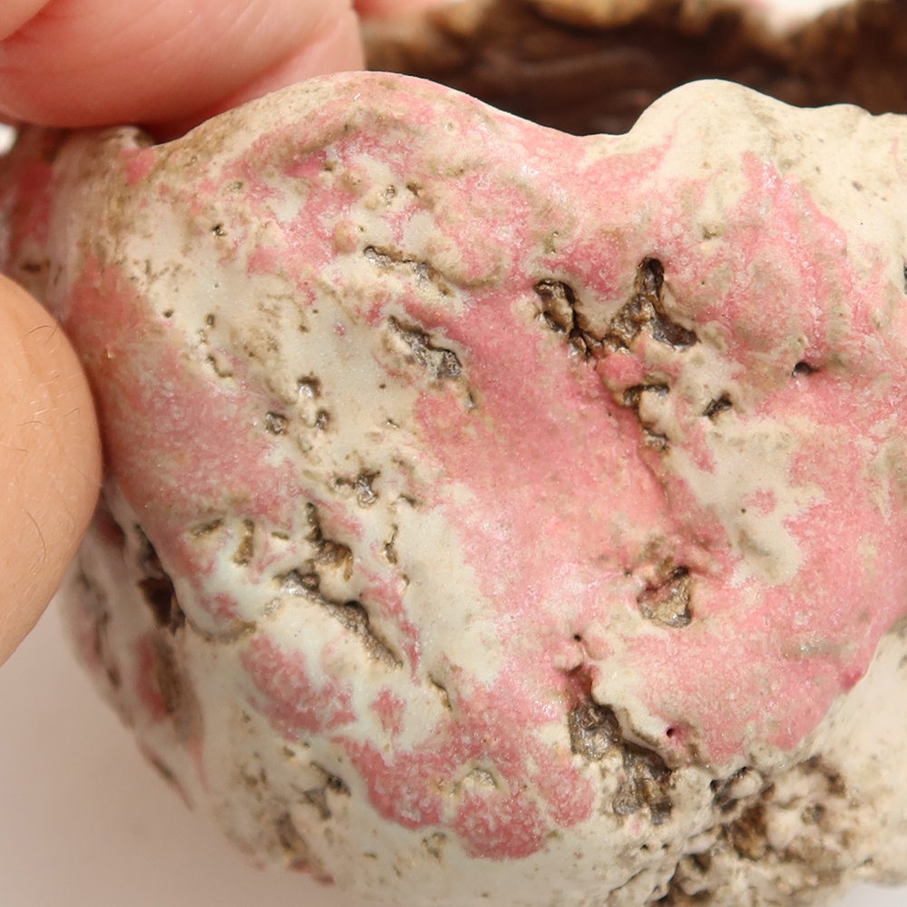Conchiglia in ceramica  6 x 6 x 5,5 cm, colore rosa