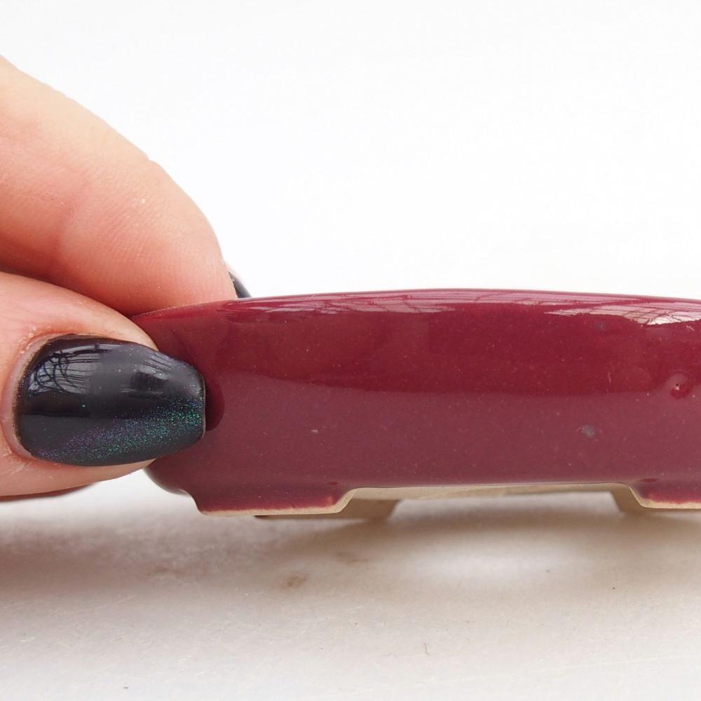 Mini bonsai 8 x 6 x 2 cm, bordeaux