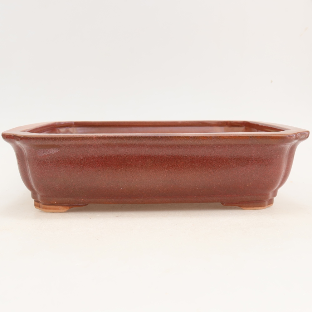 Vaso da bonsai in ceramica 27,5 x 21,5 x 7 cm, colore bordeaux