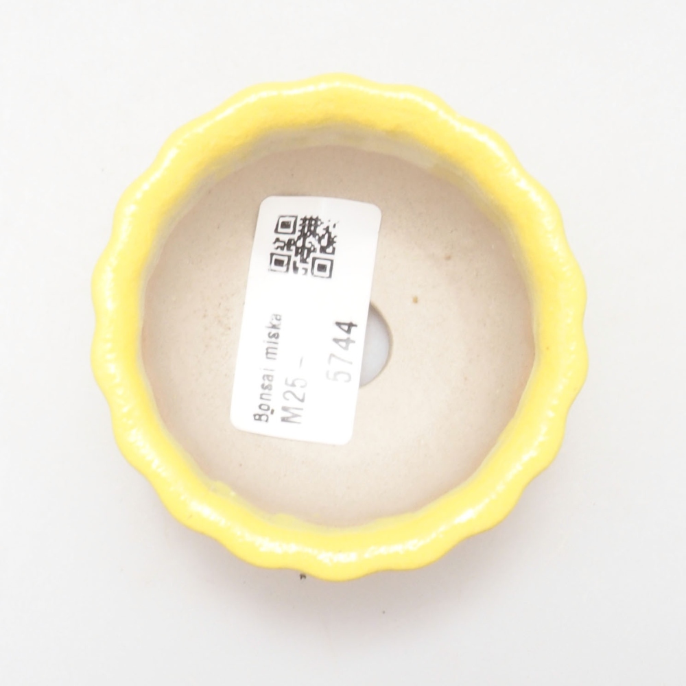 Ciotola bonsai in ceramica 7 x 3 x 3,5 cm, giallo