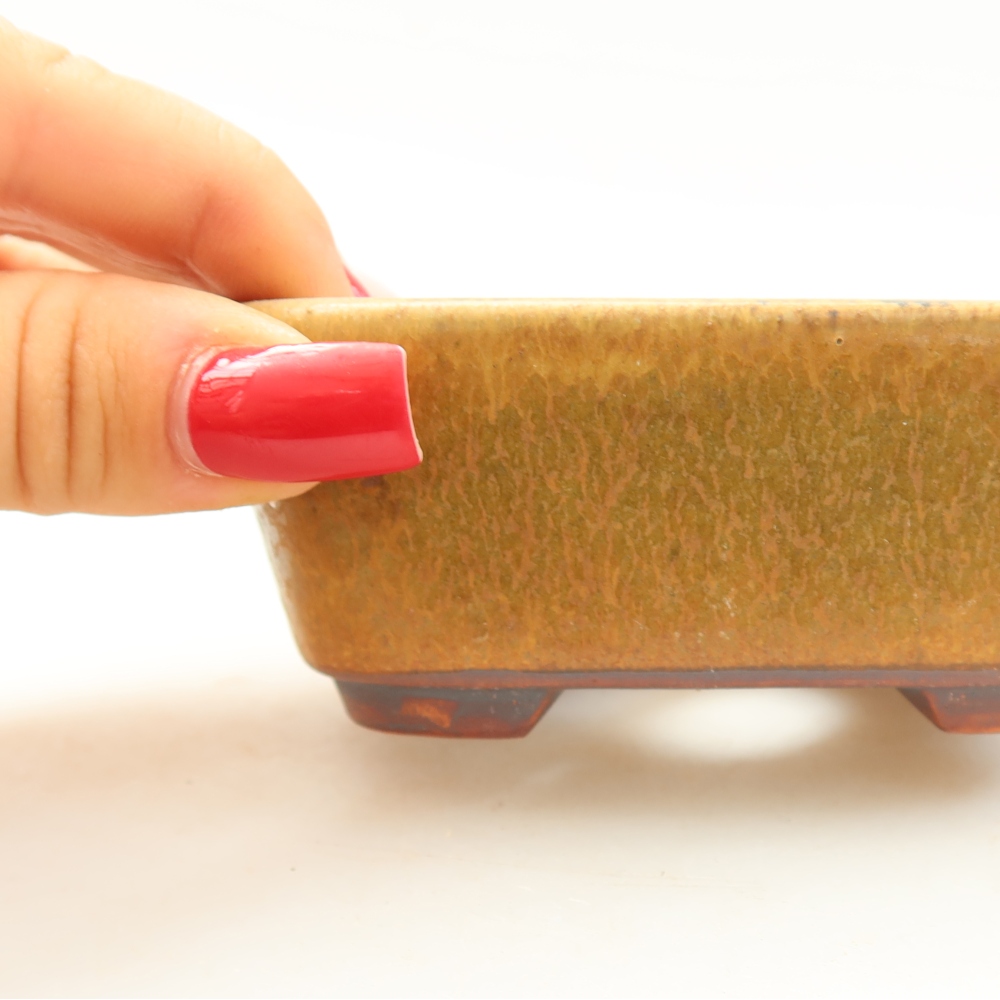 Ciotola per bonsai in ceramica 10 x 8,5 x 4 cm, verde