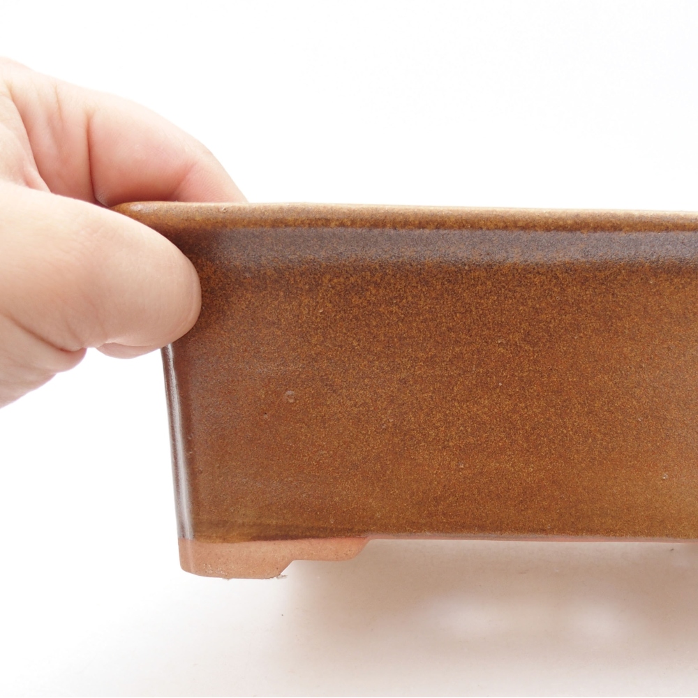 Ciotola bonsai in ceramica 22 x 17 x 5 cm, verde