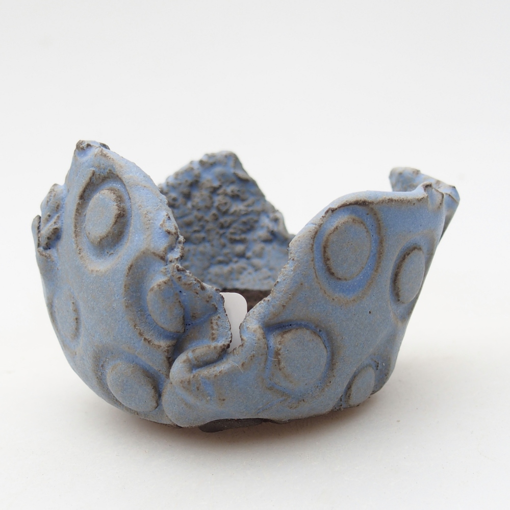 Conchiglia in ceramica 7 x 8 x 5,5 cm , colore blu