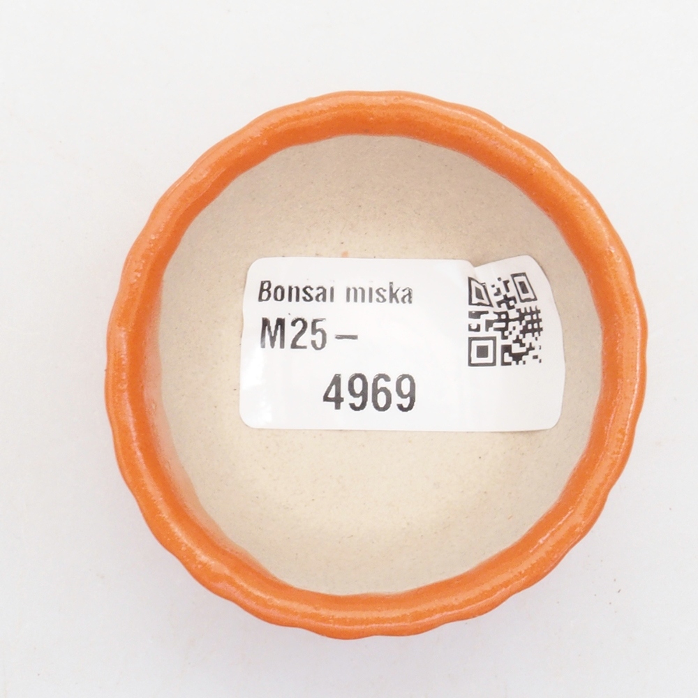 Ciotola per mini bonsai 5 x 5 x 2,5 cm, arancione