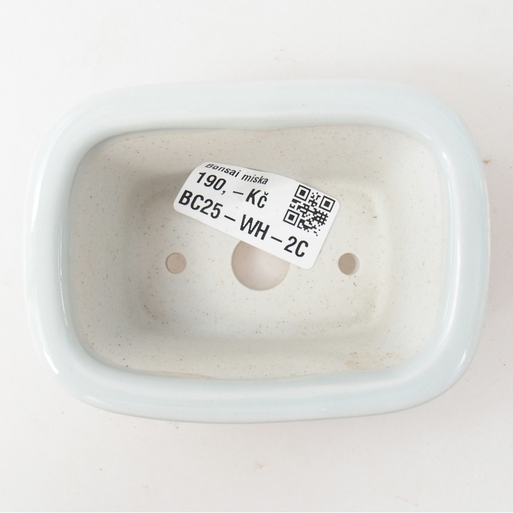 Mini bonsai 10 x 7,5 x 4 cm, colore bianco