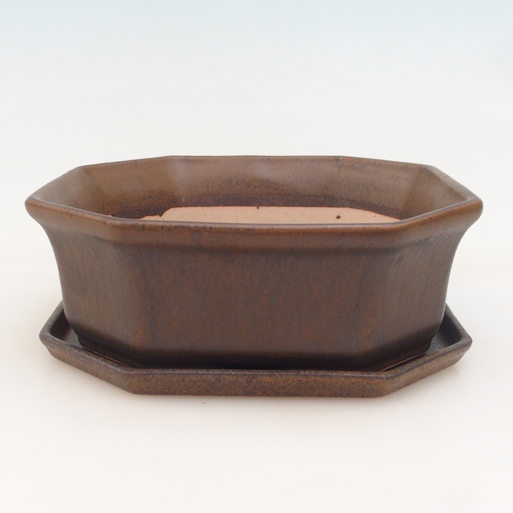 Ciotola bonsai + piattino H14 - marrone