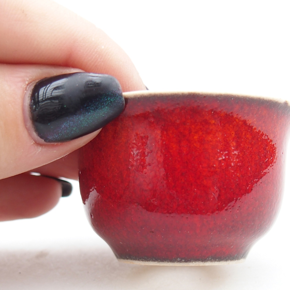 Mini bonsai 5 x 5 x 3 cm, colore rosso