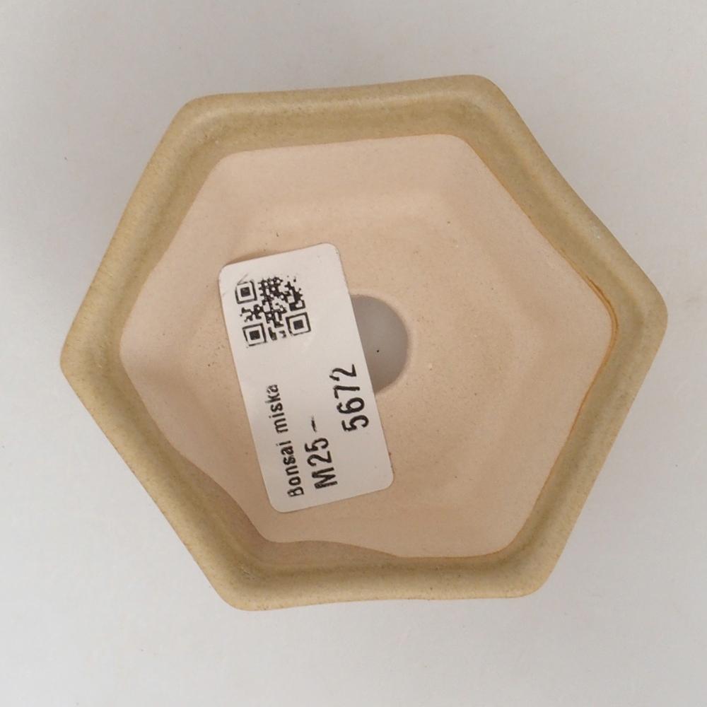 Ciotola per mini bonsai 8 x 7 x 4 cm, marrone