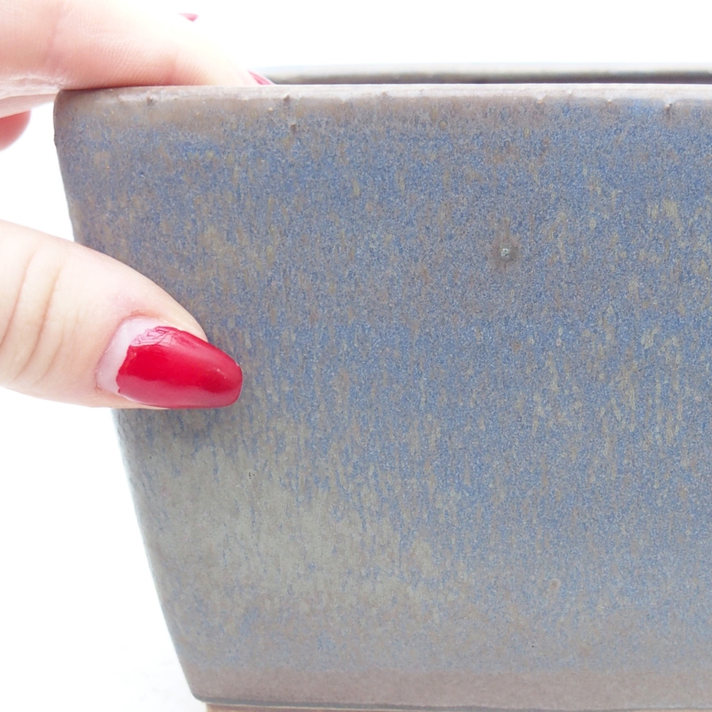 Ciotola bonsai in ceramica 16 x 16 x 10 cm, colore blu