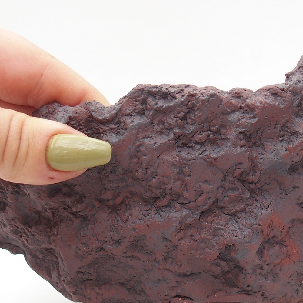 Conchiglia in ceramica 19 x 17 x 15 cm , colore marrone