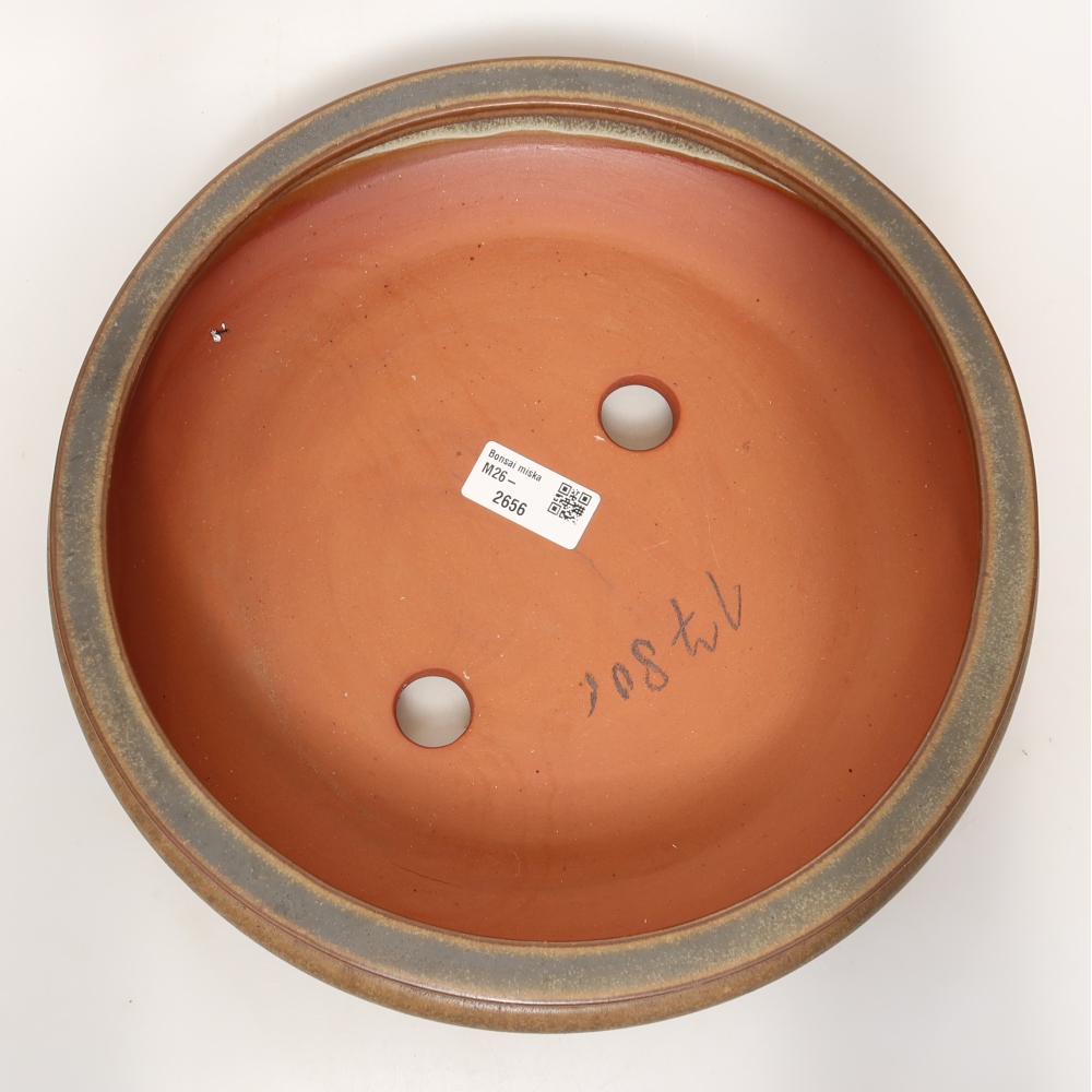 Conchiglia in ceramica  27 x 27 x 7,5 cm, colore marrone