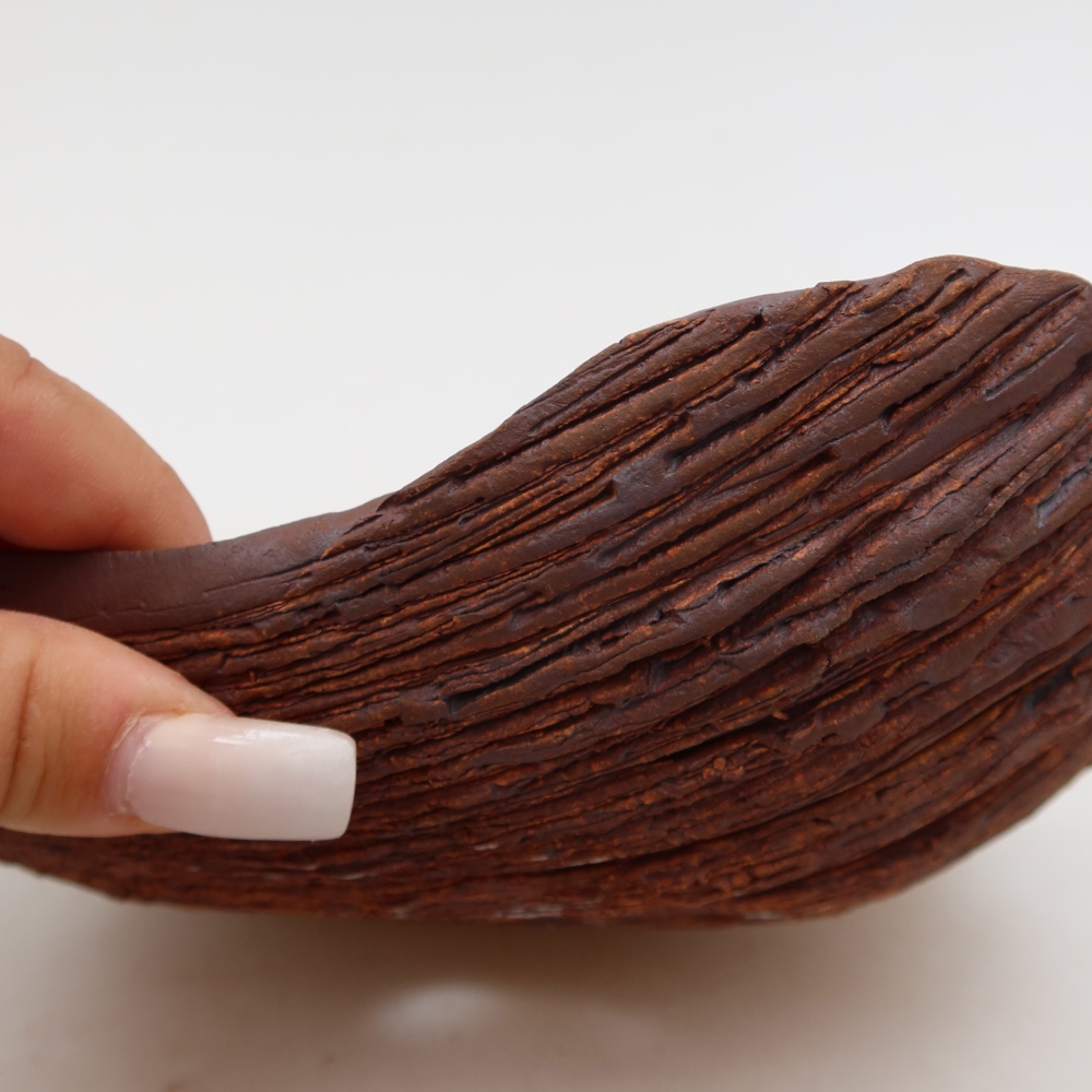 Conchiglia in ceramica  20 x 15,5 x 6 cm, colore marrone