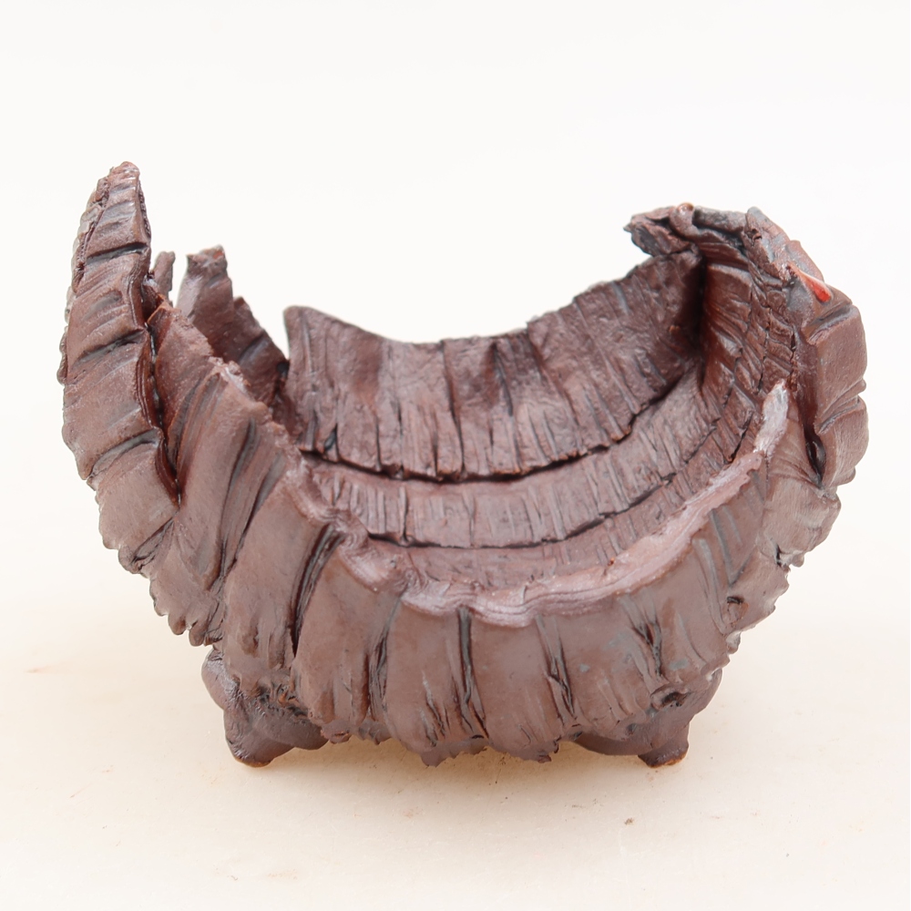 Guscio in ceramica  9,5 x 9,5 x 7 cm, colore marrone
