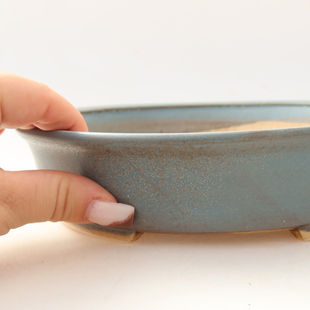 Ciotola bonsai in ceramica 21 x 19 x 5 cm, colore blu